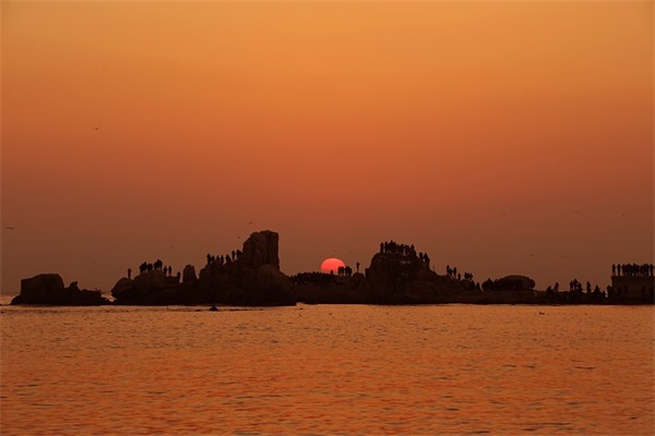 80后经典语录96句