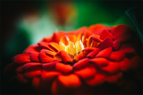 伤感语录表达心情失落的句子