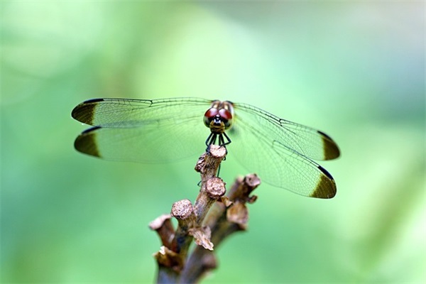 中年女人的励志语录 中年人的精辟语录
