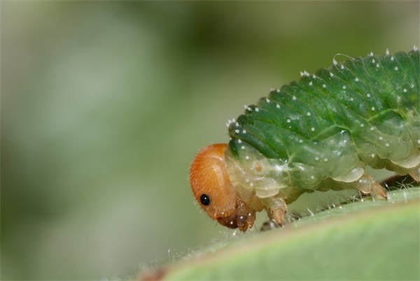 健身运动的励志句子简洁明了(健身语录励志的句子)