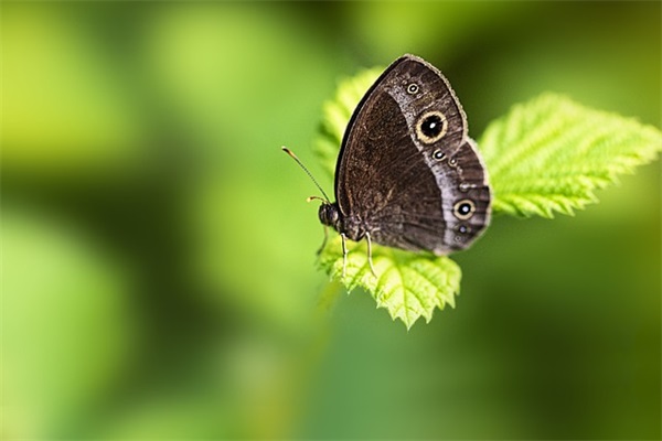 佛语经典语录 佛语经典语录 励志