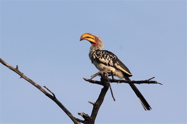 抖音很火的情感文案语录