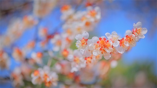 2026六一儿童节的语录早安文案(六一儿童节朋友圈文案)