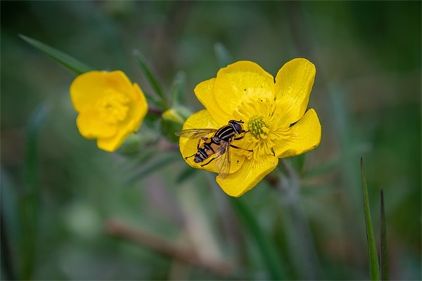 出色精美女人励志一句话(精致女人励志短句霸气语录)