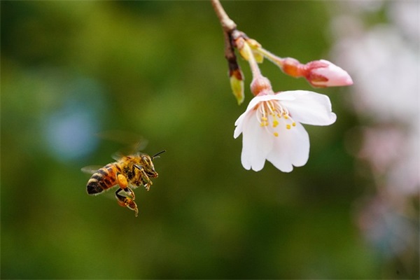 关于理财的经典语录
