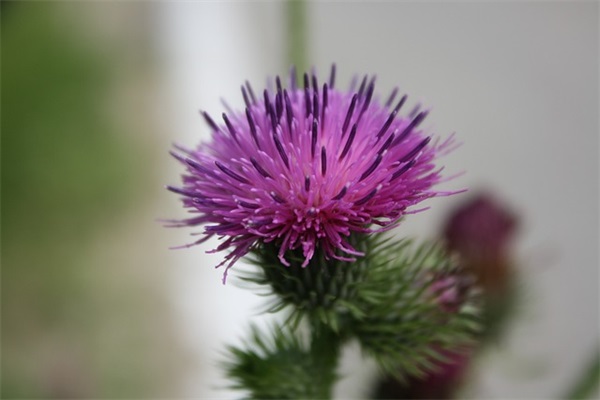 晚安励志青春语录经典语句精选(青春励志语录经典短句)