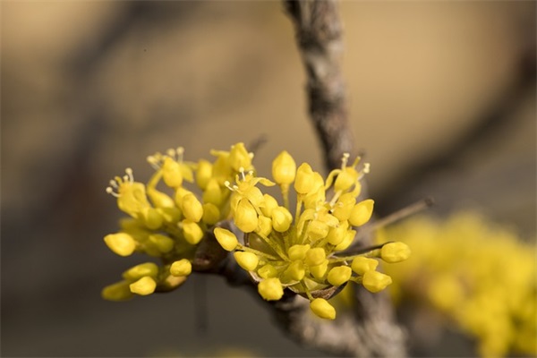 团队励志语录79句