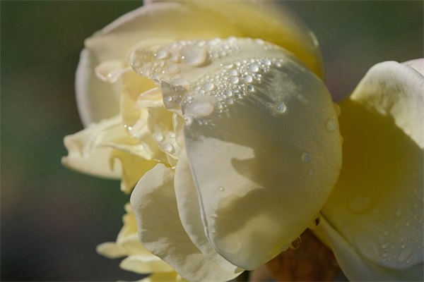 机电口号大全集-53句