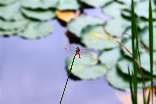 8班班级口号-57句