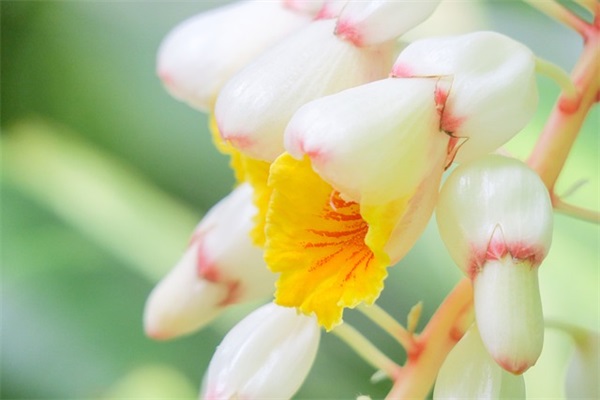 军训口号十六字-51句