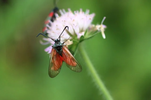 烤鱼夜宵宣传口号-59句
