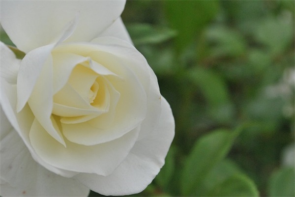 六组口号大全-55句 六组口号大全-55句