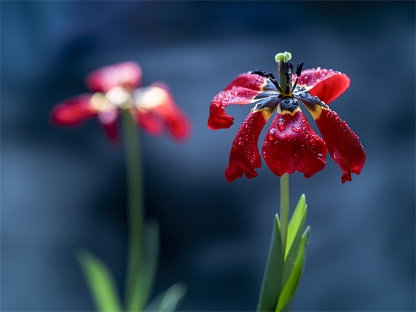 中二班创意口号-64句 中二班创意口号-64句