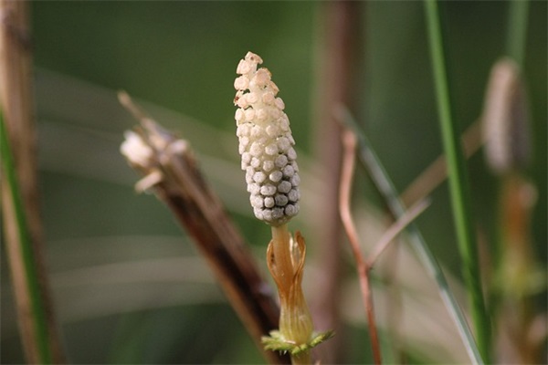 七5班班级口号-64句