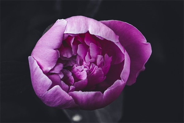 八二班级口号顺口-64句 八二班级口号顺口-64句