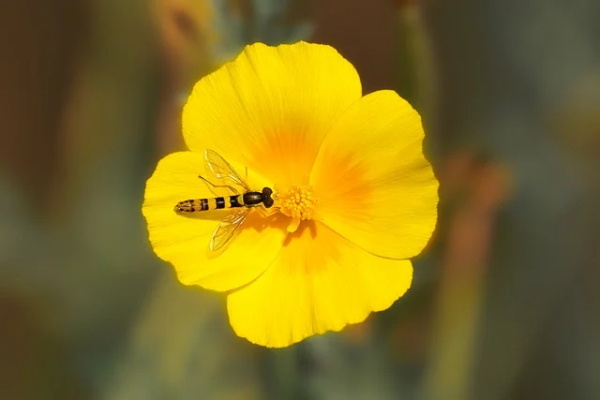 体操口号8个字-74句