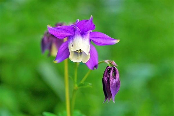 公司精神口号-84句 公司精神口号-84句