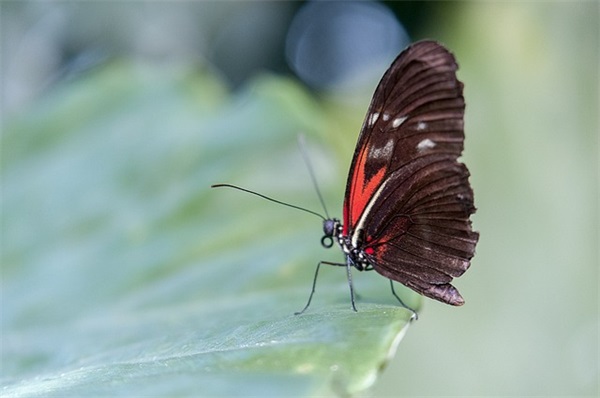 公司精神口号-89句 公司精神口号-89句