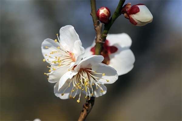 公司部门口号大全-85句 公司部门口号大全-85句