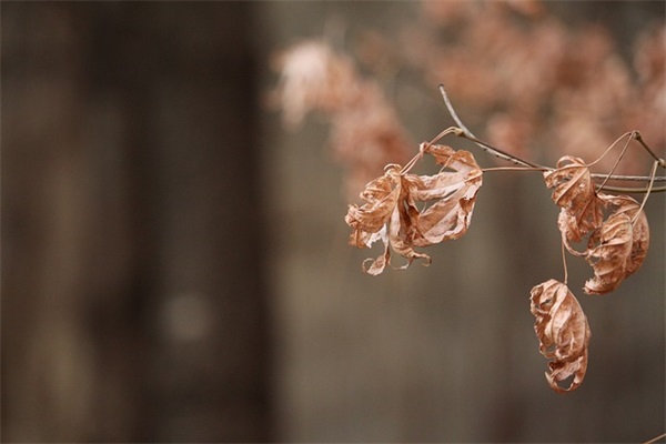 16个字团建口号-77句