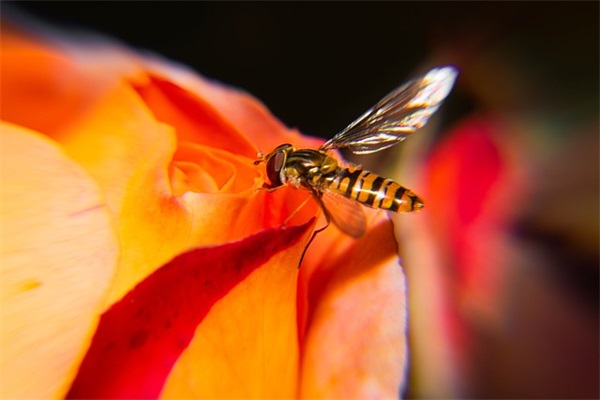 公司标语口号大全-100句