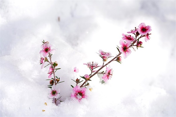 做操口号四句-88句