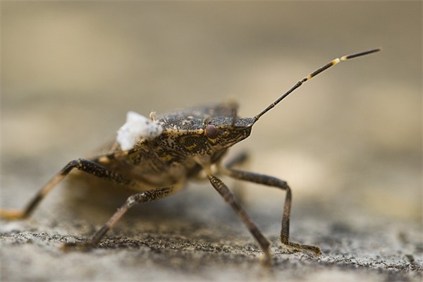 公司口号大全霸气 【100句精选】 公司口号大全霸气 【100句精选】