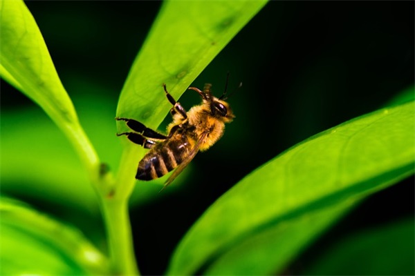 优质服务口号大全 【100句精选】