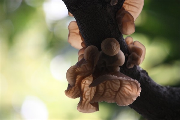 2026年搞笑经典语录98句