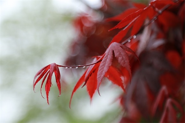 分开伤感语录疼到内心语句 装逼语录经典语句