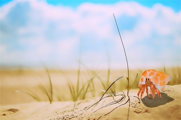 早安美容养生语录