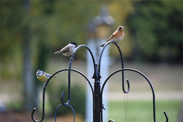 情感语录出轨扎心的文案 讽刺出轨的文案
