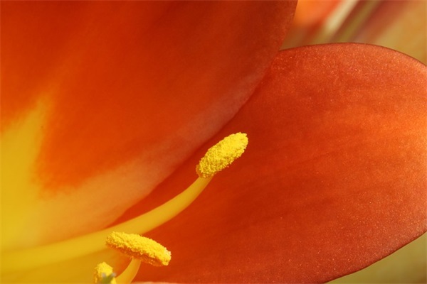 2026高考励志语录简短汇总 高考励志语录