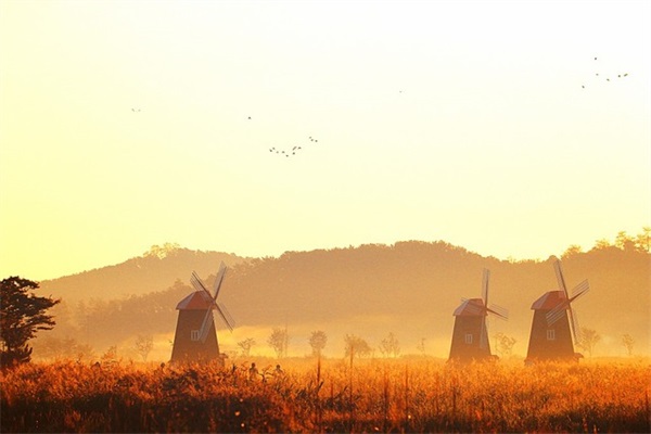 祝你永远快乐这句话是真话 世界欠我一个你经典语录
