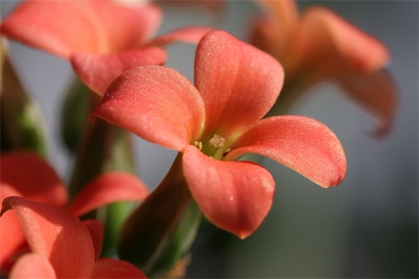 励志经典语录太经典100句