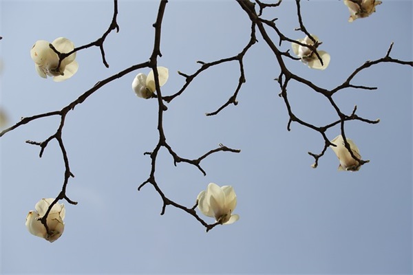 万锋经典语录21句