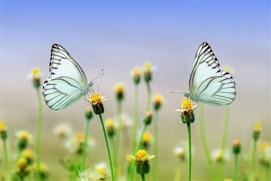 教师节对老师的祝福语文案(教师节老师创意文案短句)