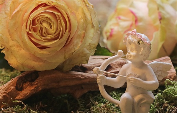中国教师节祝福短信88句