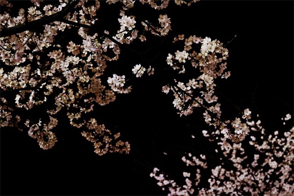 给教师节最好的贺卡寄语