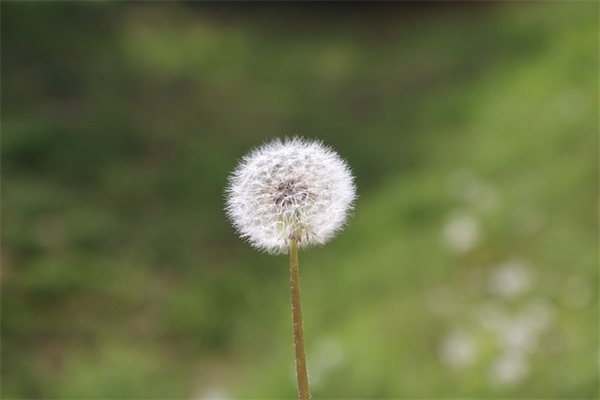 朋友父亲去世安慰语简短(精选81句)