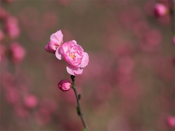 形容生气的词语(精选5篇)