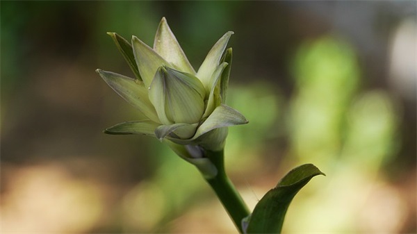 软件架构师岗位职责(精选4篇)