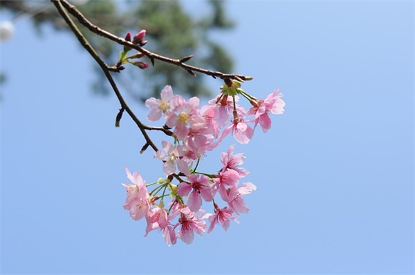 高考倒计时50天励志 高考倒计时励志文案大全